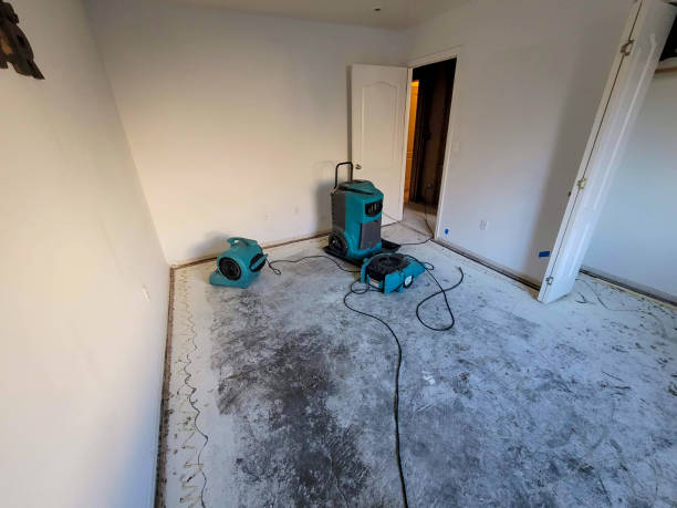 Best Mold removal after water damage  in Pinetops, NC