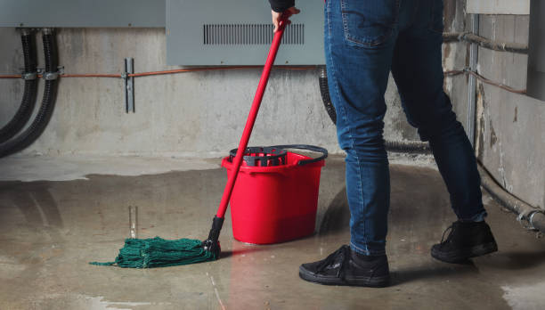 Best Water damage restoration services  in Pinetops, NC