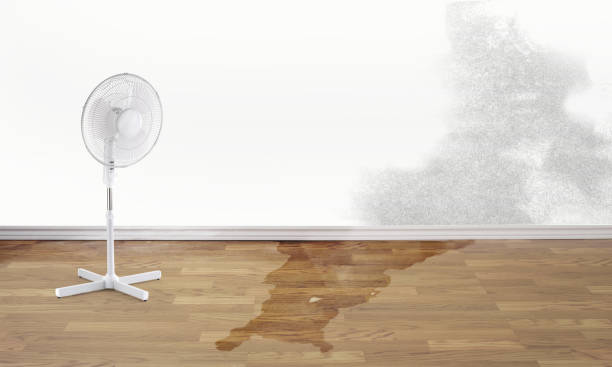 Best 24/7 water damage repair  in Pinetops, NC