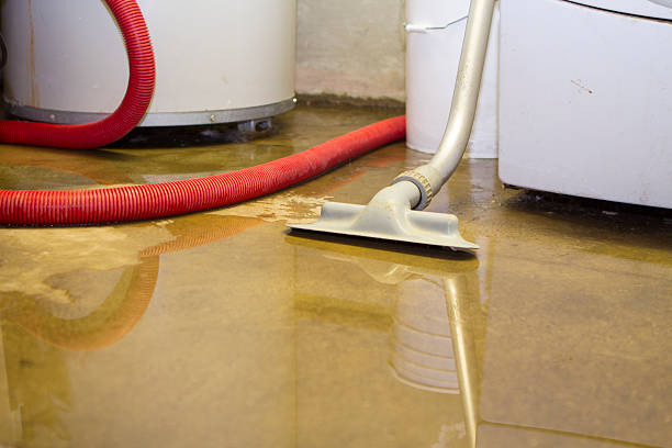 Best Water damage restoration near me  in Pinetops, NC