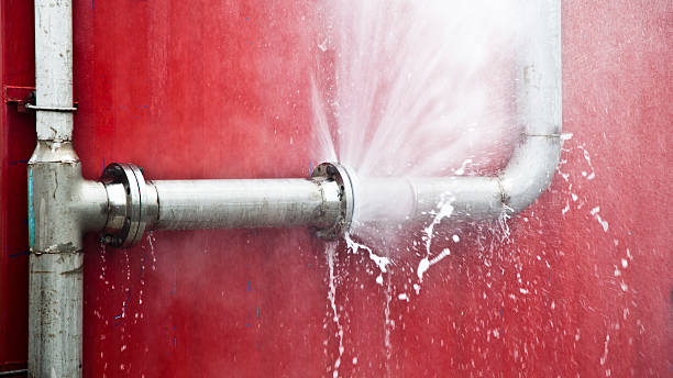 Best Water damage restoration company  in Pinetops, NC